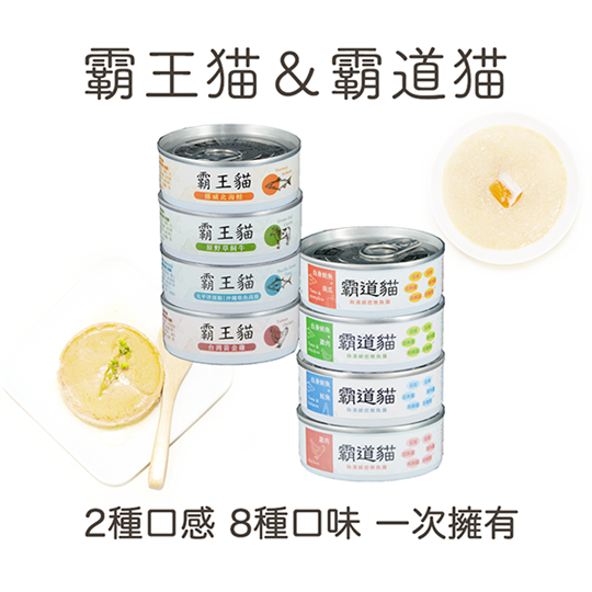 青川淺 王道混箱8種口味1 貓主食罐 貓罐頭 1